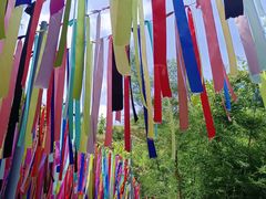 -亚婆田·白水寨生态旅游度假区