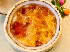 椰皇炖桃胶-临江宴(陆家嘴店)