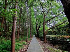 -同里国家湿地公园