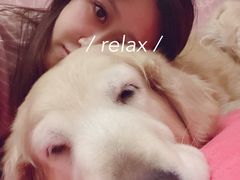 -百好乐宠物友好餐厅(朝外大街店)