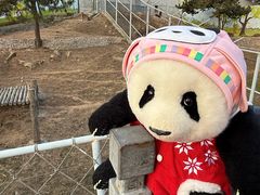 -西霞口神雕山野生动物世界