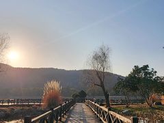 -长广溪湿地公园