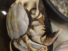 -聚味瞿记·龙虾堂(渔人码头一店)