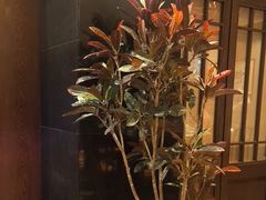 -海天楼中餐厅(吴宫泛太平洋酒店)