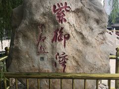 -皇家御河游(紫御湾码头)