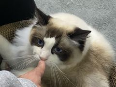 -零纪元VR体验馆·桌游(黄浦店)