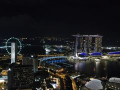 -新加坡瑞士史丹福酒店