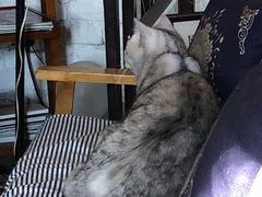 -不舍昼夜咖啡馆