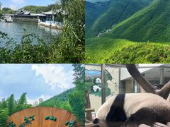 -天目湖山水园