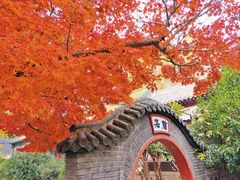 -湛山寺