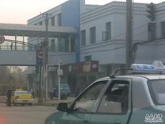 407-皇冠幸福里动物奶油生日蛋糕(丹水池店)