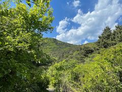 -阳台山自然风景区