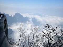 -张家界天门山国家森林公园