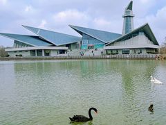 -盐城丹顶鹤湿地生态旅游区