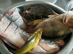 -庆岭迎宾园正宗活鱼馆