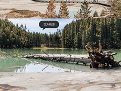 -仙岛湖旅游风景区