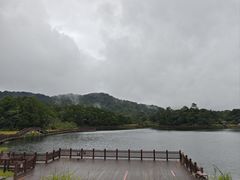 -海南热带雨林国家公园吊罗山景区