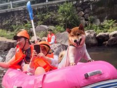 -安吉龙王山峡谷漂流