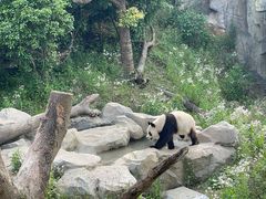 -宁波野生动物园