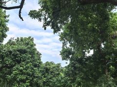 -张坝桂圆林公园