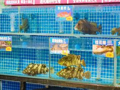 -陶缘一号·四季缘·老字号顺德菜·户外婚礼家宴(西滘店)