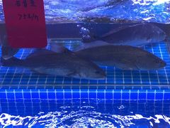 -洲晓鲜·舟山海鲜大排档(朱家尖风景区店)