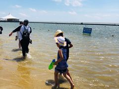 -碧海金沙
