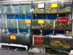 水产区-蚝专家(北滘店)