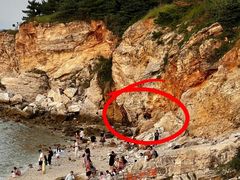 -养马岛旅游度假区