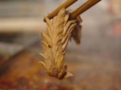 -化龙桥九宫格火锅(清水河店)