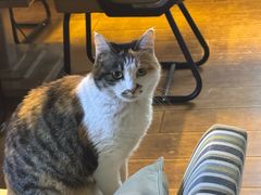 -天地無用GAME BAR