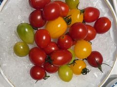 -渔港甄宴·海鲜·地标烟台菜(泰山路店)