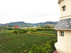-北京张裕爱斐堡酒庄