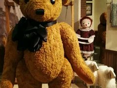 -济州岛泰迪熊博物馆