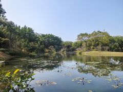 -云溪植物园