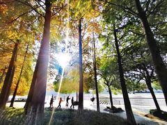 -运河游船(武林门码头)