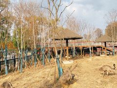 -武汉动物园