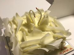 -BLACKSWAN黑天鹅(环球店)