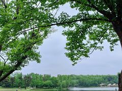 -武汉园博园(武汉自然博物馆)