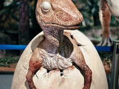 -湖南省地质博物馆