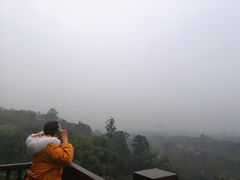 -张坝桂圆林公园