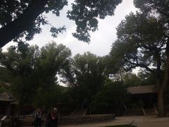 -晋祠公园