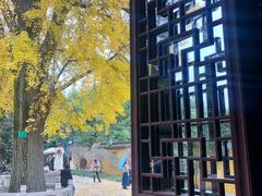 -苏州上方山国家森林公园