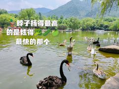 -西安秦岭野生动物园