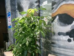 -珠海棕泉水疗酒店(拱北口岸高铁站店)