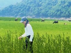-翠屏湖景区