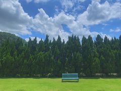 -南沙蒲洲花园