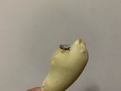 -糕大师•手作鲜糕点(芦庄店)
