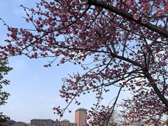 -浙江大学(紫金港校区)