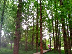 -国家植物园南园